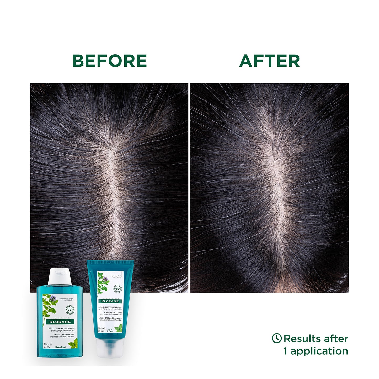 Klorane Anti Pollution Detox Shampoo