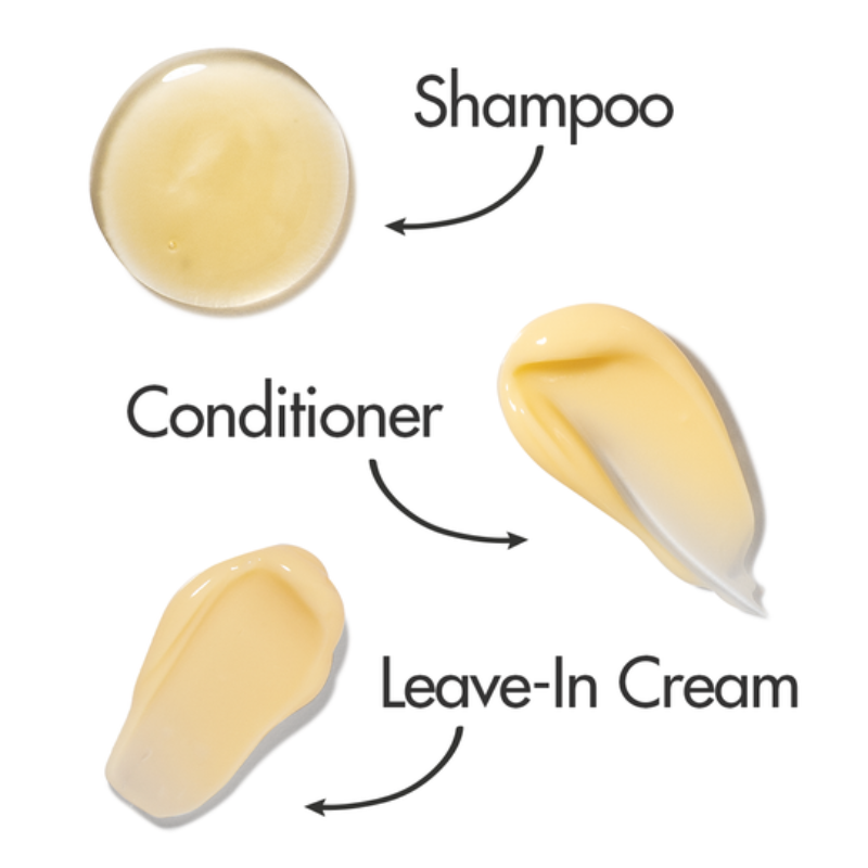 Klorane Hydrating Mango Dry Hair Routine Trial Kit