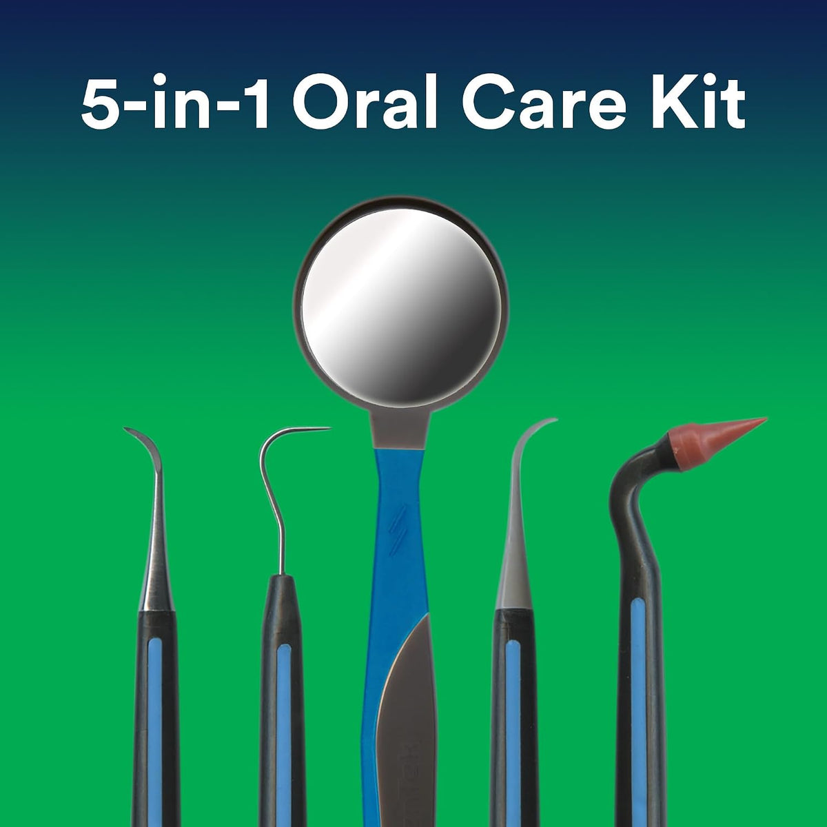 DenTek Dentek Professional Oral Care Kit, Advanced Clean, 5 Tools