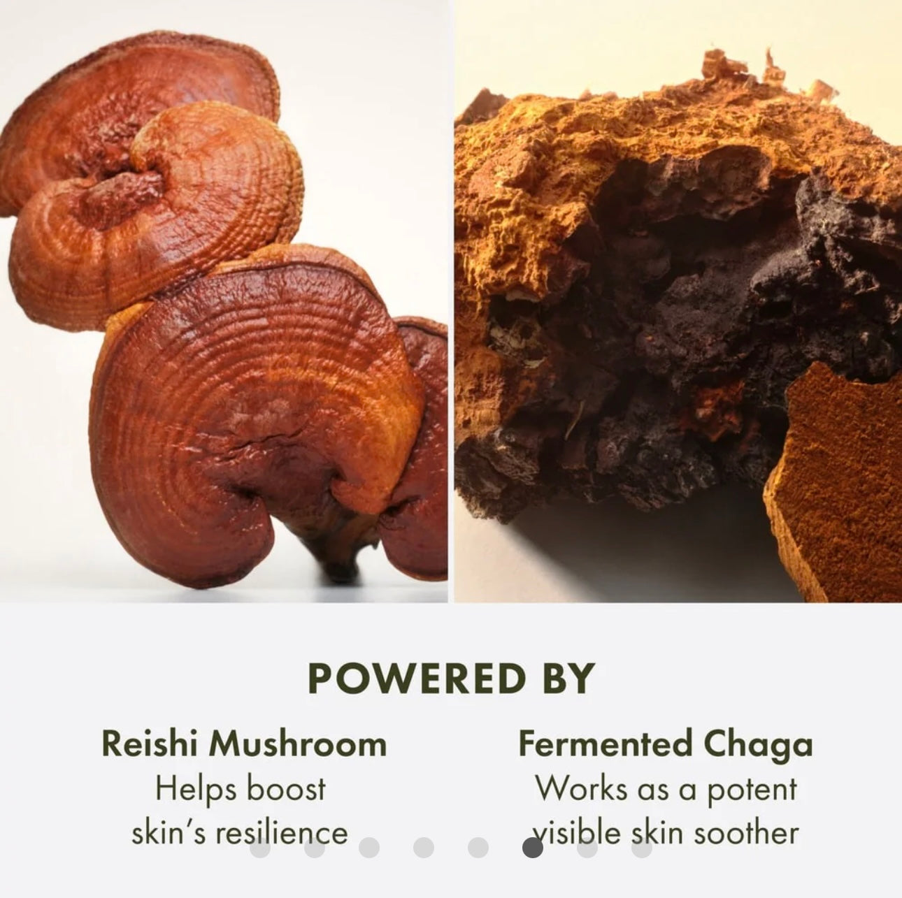 Origins Mega Muhsroom Relief And Resilience