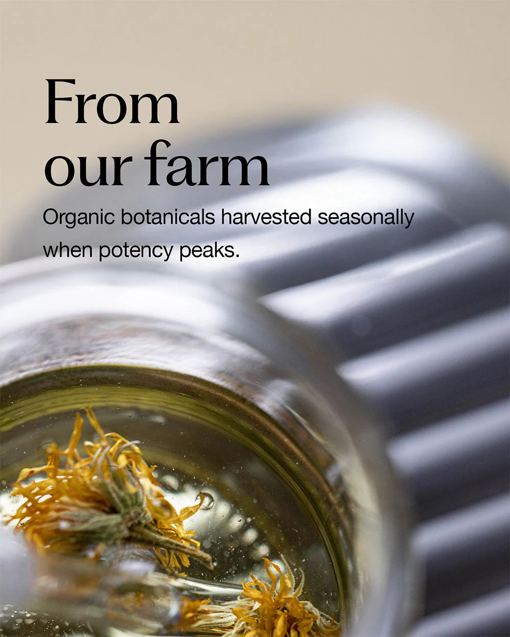 O Way Curly Potion – The Art of Perfect Curls ✨
8.1 FL OZ (240 mL)