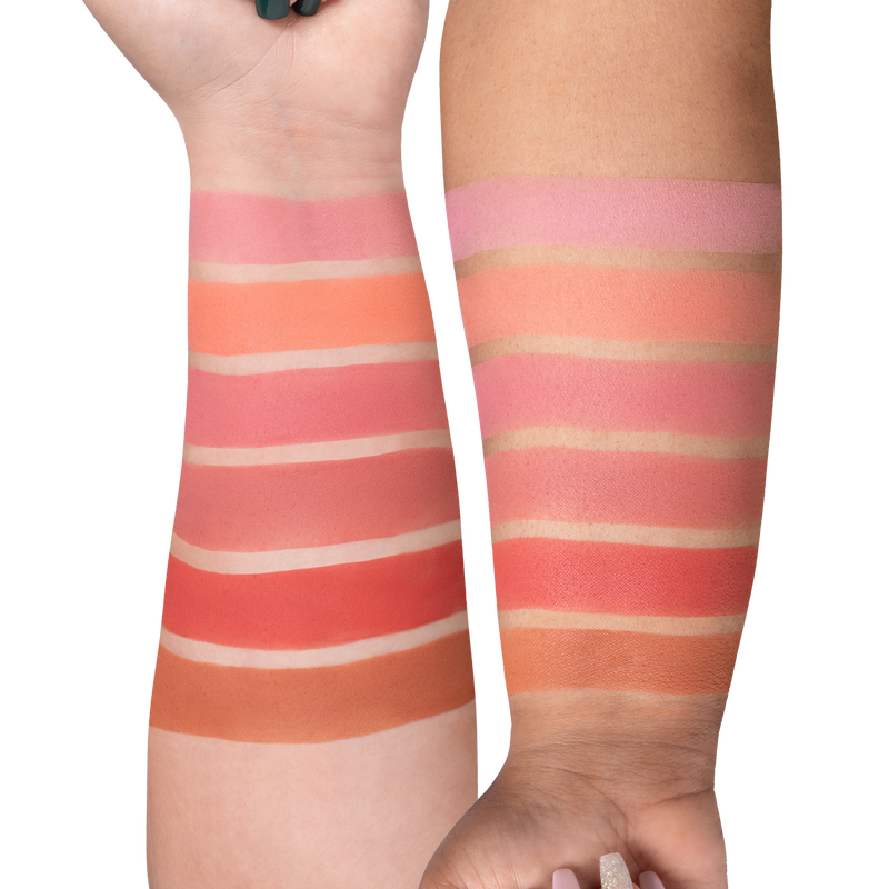 OFRA Mini Mix Palette - Charm Your Cheeks 2