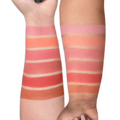 OFRA Mini Mix Palette - Charm Your Cheeks 2
