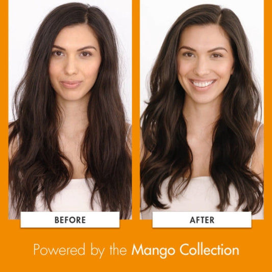 Klorane Hydrating Mango Dry Hair Routine Trial Kit
