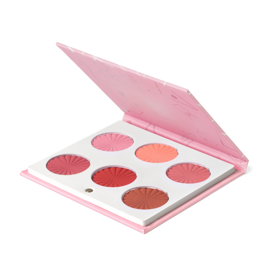 OFRA Mini Mix Palette - Charm Your Cheeks image 2