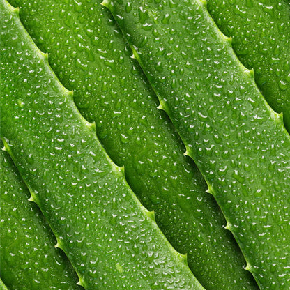 Mario Badescu Aloe Vera Toner